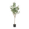 Decor Accents Artificial Plant – Eucalyptus Tree 150cm