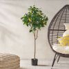 Decor Accents Artificial Plant – Lemon Tree 150cm