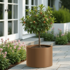 Heavy Duty Corten Steel Round Raised Garden Bed Kit â€“ 15.5" Dia. x 20" H. â€“ Pre-Rusted Metal Planter Box for Vegetables, Flowers