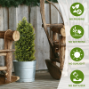 Landscaping Modern Hawaii Plants Indoor Tree Artificial Green big Plants Home Tree Pots Garden
