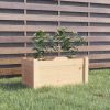 Natural Pine  Raised Garden Bed -24"x12"