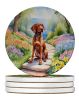Vizsla Spring Path Large Sandstone Coasters Pack of 4 Absorbent Round Coasters Decor Gifts for Men or Women, 4 in, Multicolor