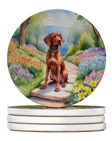Vizsla Spring Path Large Sandstone Coasters Pack of 4 Absorbent Round Coasters Decor Gifts for Men or Women, 4 in, Multicolor