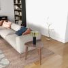 Modern Small Desk Table Lamp