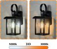 Outdoor Lantern Wall Light — Dusk-to-Dawn Black Glass Sconce
