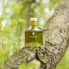 Midsummer Night Scented Reed Diffuser – 6.7 oz