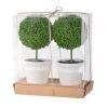 S/2 D4x9.5" Mini Faux Topiaries in Cream Pot