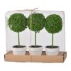 S/3 D3.5x9.5" Mini Faux Topiaries in Cream Pot