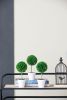 S/3 D3.5x9.5" Mini Faux Topiaries in Cream Pot
