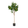 Decor Accents Artificial Plant – Lemon Tree 150cm