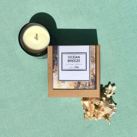 Ocean Breeze Scented Soy Wax Candle (size: 8oz)