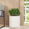 MGO PLANTER