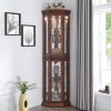 Corner Curio Cabinet with Lights, Adjustable Tempered Glass Shelves, Mirrored Back, Display Cabinet(E26 light bulb not included)