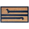 Funny Coir Doormat Hello There Welcome Front Porch Decor Doormat for The Entrance Way Outdoor with Heavy-Duty Non Slip Coconut Coir Doormat 30x17 inch