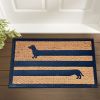 Funny Coir Doormat Hello There Welcome Front Porch Decor Doormat for The Entrance Way Outdoor with Heavy-Duty Non Slip Coconut Coir Doormat 30x17 inch