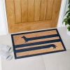 Funny Coir Doormat Hello There Welcome Front Porch Decor Doormat for The Entrance Way Outdoor with Heavy-Duty Non Slip Coconut Coir Doormat 30x17 inch